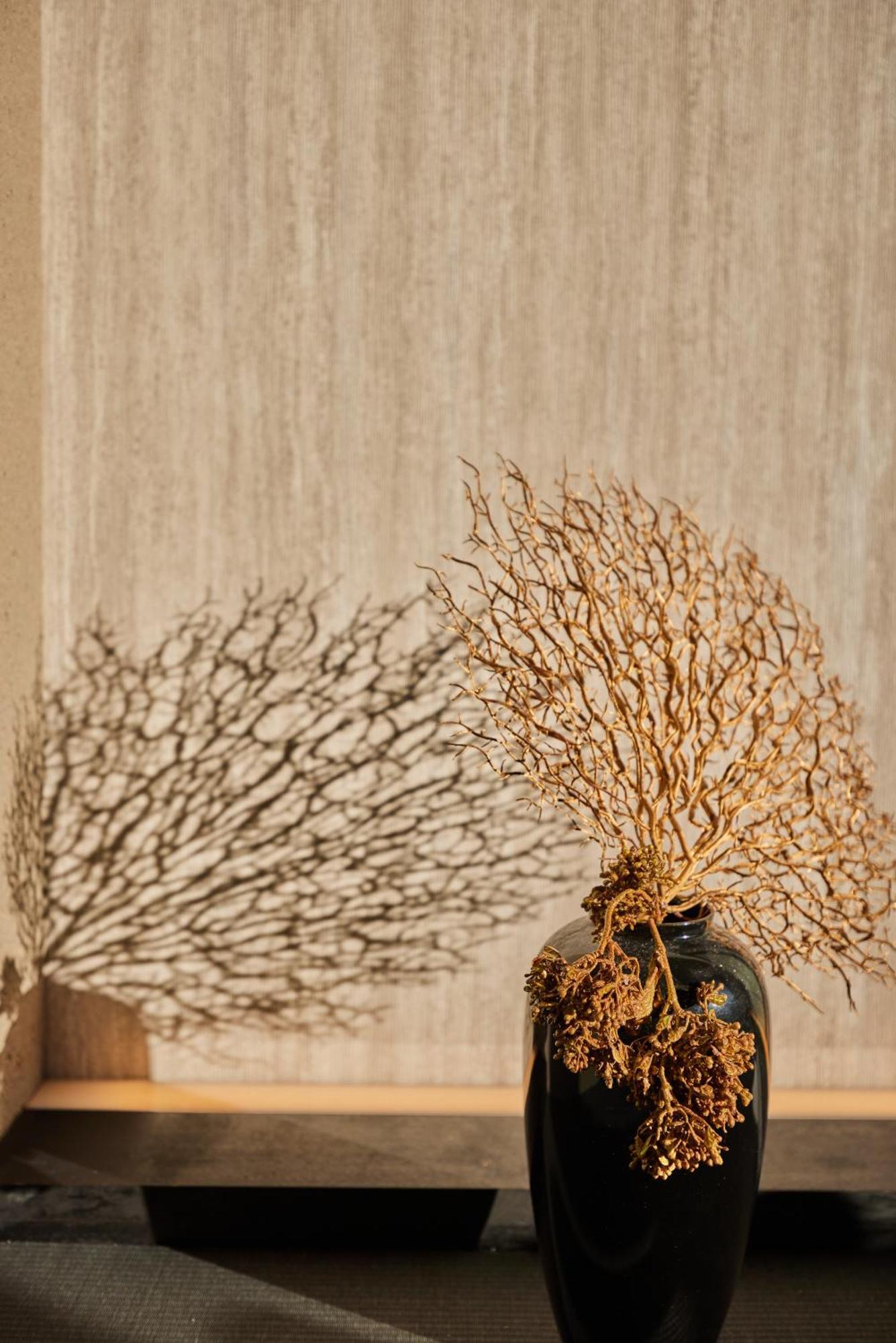 Hakuba Hibiku Chalet By Jade Group エクステリア 写真